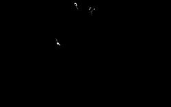 AdipoGen 6-Aminophenanthridine (1 mg), Quantity: Each of 1
