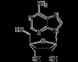 AdipoGen Adenosine (50 g), Quantity: Each of 1