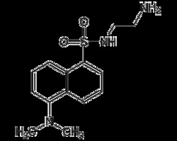 AdipoGen N-Dansylethylenediamine (1 g), Quantity: Each of 1