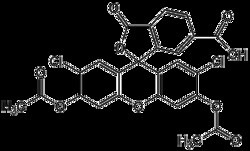 AdipoGen 6-Carboxy-2',7'-dichlorofluorescein DA (250 mg), Quantity: Each