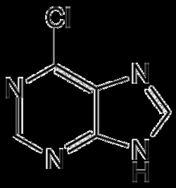 AdipoGen 6-Chloropurine (25 g), Quantity: Each of 1