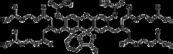 AdipoGen Calcein-AM Solution (1 mg), Quantity: Each of 1