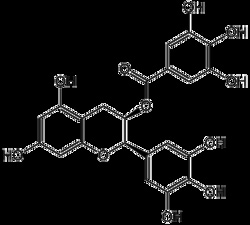 AdipoGen (-)-Epigallocatechin gallate (10 mg), Quantity: Each of 1