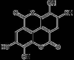 AdipoGen Ellagic acid (1 g), Quantity: Each of 1