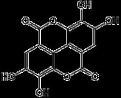 AdipoGen Ellagic acid (5 g), Quantity: Each of 1