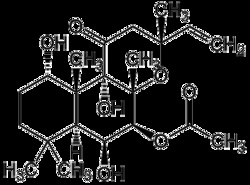 AdipoGen Forskolin (50 mg), Quantity: Each of 1