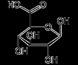 AdipoGen D-Glucuronic acid (50 g), Quantity: Each of 1