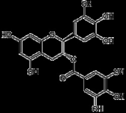 AdipoGen&nbsp;(-)-Gallocatechin gallate (5 mg)