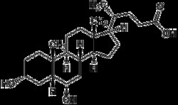 AdipoGen Hyodeoxycholic acid (10 g), Quantity: Each of 1