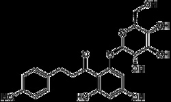AdipoGen Phloridzin (1 g), Quantity: Each of 1