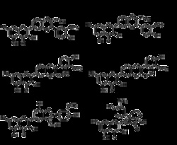 AdipoGen Silymarin (50 g), Quantity: Each of 1