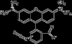 AdipoGen TRITC (50 mg), Quantity: Each of 1