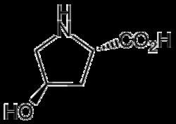 AdipoGen trans-4-Hydroxy-L-proline (100 g), Quantity: Each of 1
