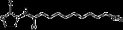 AdipoGen N-Undecanoyl-L-homoserine lactone (10 mg), Quantity: Each of 1