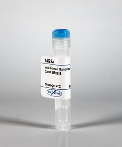 Bio X Cell Antibody, Anti-Human/Mouse Ganglioside GD2, Clone 14G2a, Mouse