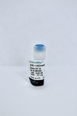 Bio X Cell anti-rat/mouse CD71, OX-26 IgG2a, Unconjugated, 1 MG, Quantity: