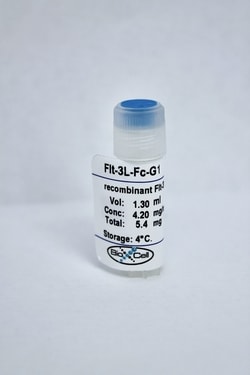 Bio X Cell recombinant Flt-3L-Ig, Flt-3L Fc-G1, Human/Human, Animal-Free,