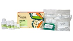 New England Biolabs, Inc. Monarch HMW DNA Extraction Kit for Tissue - 5