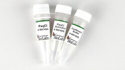 New England Biolabs, Inc. PaqCI - 1000 units, Quantity: Each of 1