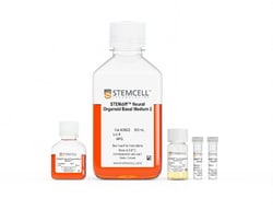 STEMCELL Technologies STEMdiff Dorsal Forebrain Organoid Differentiation
