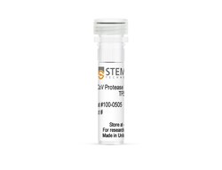 STEMCELL Technologies&nbsp;CoV Protease Substrate-1 TF5, Size: 100 Tests