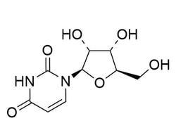 STEMCELL Technologies Uridine, Size: 10 g, Quantity: Each of 1