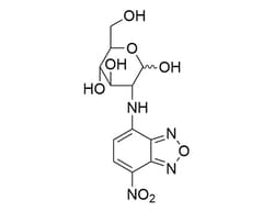 STEMCELL Technologies 2-NBDG, Size: 5 mg, Quantity: Each of 1