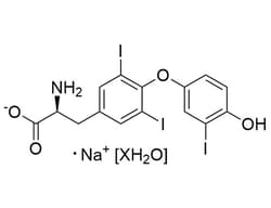 STEMCELL Technologies 3,3',5-Triiodo-L-thyronine (Sodium Salt Hydrate),