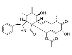 STEMCELL Technologies Cytochalasin D, Size: 1 mg, Quantity: Each of 1