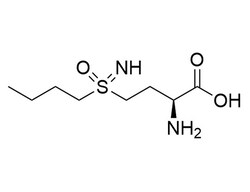 STEMCELL Technologies L-Buthionine-(S,R)-sulfoximine, Size: 250 mg, Quantity: