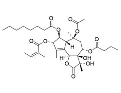 STEMCELL Technologies Thapsigargin, Size: 5 mg, Quantity: Each of 1