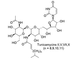 STEMCELL Technologies&nbsp;Tunicamycin, Size: 5 mg