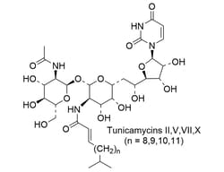 STEMCELL Technologies&nbsp;Tunicamycin, Size: 10 mg