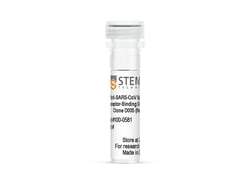 STEMCELL Technologies Anti-SARS-CoV Spike Protein S1 Receptor-Binding Domain