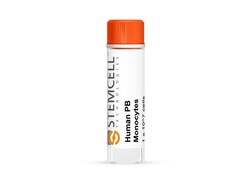 STEMCELL Technologies Human Peripheral Blood Monocytes, Frozen, Size: 2