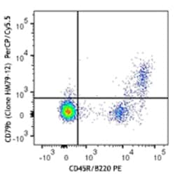 Biolegend PerCP/Cyanine5.5 anti-mouse CD79b (Igβ), Quantity: Each of 1