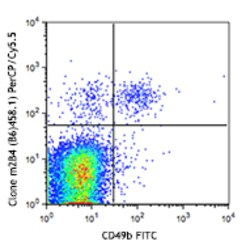 Biolegend PerCP/Cyanine5.5 anti-mouse CD244.2 (2B4 B6 Alloantigen), Quantity:
