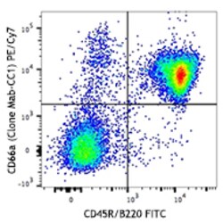 Biolegend PE/Cyanine7 anti-mouse CD66a (CEACAM1a), Quantity: Each of 1