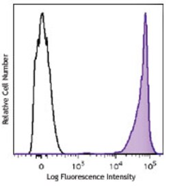 Biolegend Brilliant Violet 605 anti-mouse CD90.2 (Thy1.2), Quantity: Each