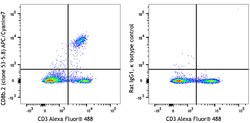 Biolegend APC/Cyanine7 anti-mouse CD8b.2 [53-5.8]; Isotype: Rat IgG1, ;
