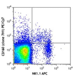 Biolegend PE/Cyanine7 anti-mouse CD160, Quantity: Each of 1