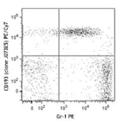 Biolegend PE/Cyanine7 anti-mouse CD193 (CCR3), Quantity: Each of 1