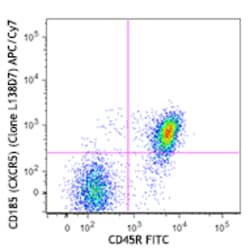 Biolegend APC/Cyanine7 anti-mouse CD185 (CXCR5), Quantity: Each of 1