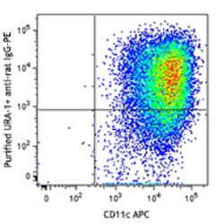 Biolegend Purified anti-mouse CD301b (MGL2), Quantity: Each of 1