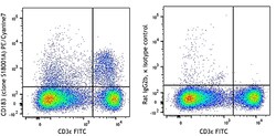 Biolegend PE/Cyanine7 anti-mouse CD183 (CXCR3), Quantity: Each of 1