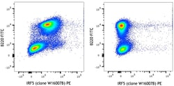 Biolegend PE anti-mouse IRF5, Quantity: Each of 1