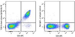 Biolegend PE anti-mouse TCR β chain Recombinant, Quantity: Each of 1