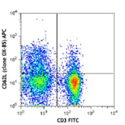 Biolegend APC anti-rat CD62L, Quantity: Each of 1