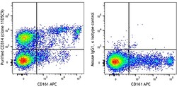 Biolegend Purified anti-rat CD314 (NKG2D), Quantity: Each of 1