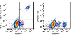 Biolegend PE/Fire 700 anti-human CD19, Quantity: Each of 1